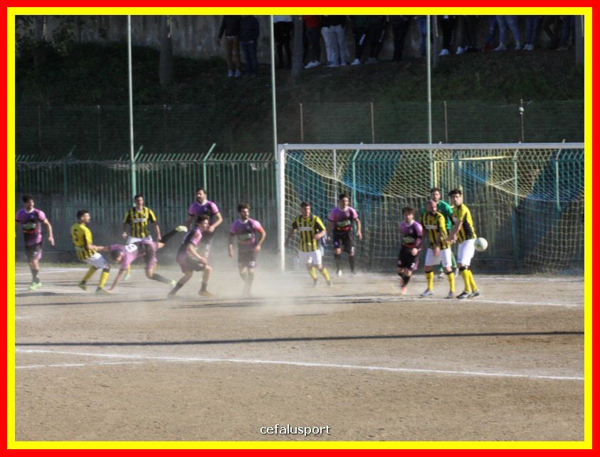 190310 Cephal_Torrenov 143_tn.jpg